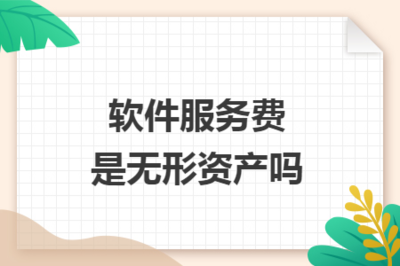 軟件服務(wù)費(fèi)與無形資產(chǎn) 概念辨析與會(huì)計(jì)處理