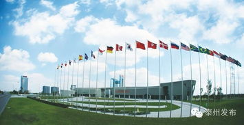 新春開門紅 20個(gè)產(chǎn)業(yè)化項(xiàng)目扎堆中國(guó)醫(yī)藥城，技術(shù)服務(wù)開啟新篇章